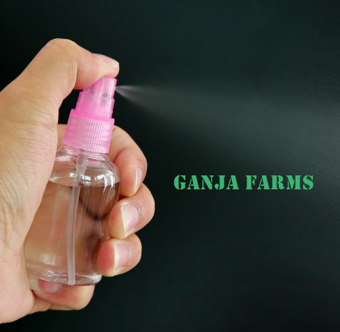 Buy Marijuana Online, Home, Ganja Farms